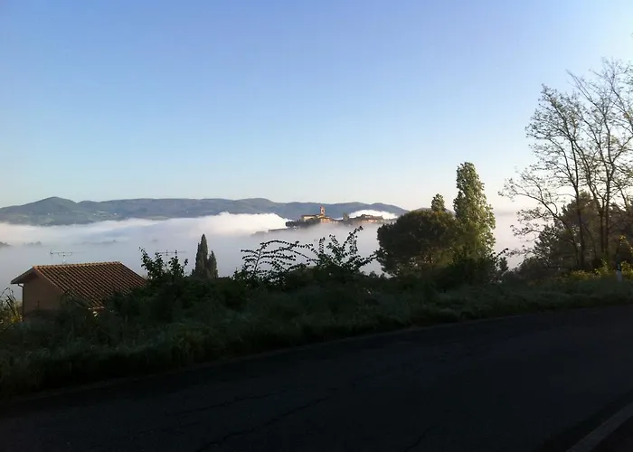 Berti * Montescudaio