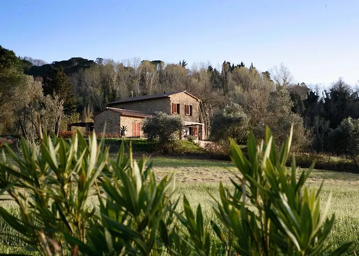 Berti * Montescudaio