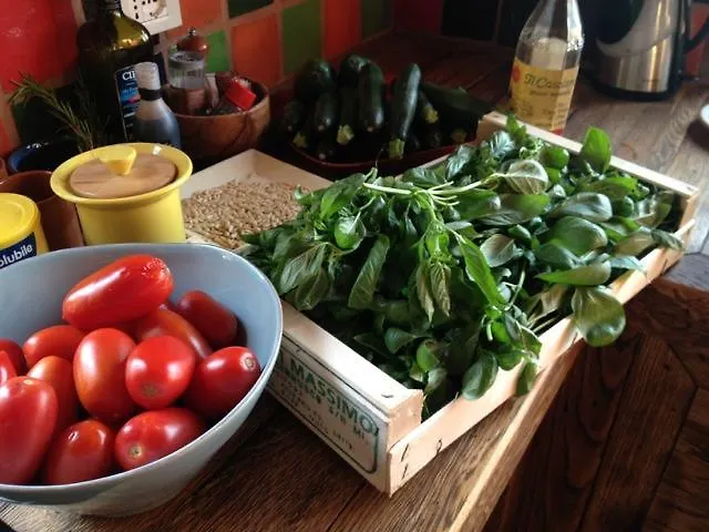 Berti * Montescudaio