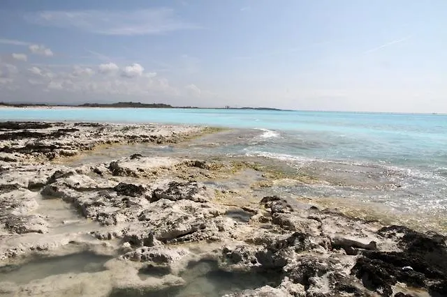 Berti Villa Montescudaio